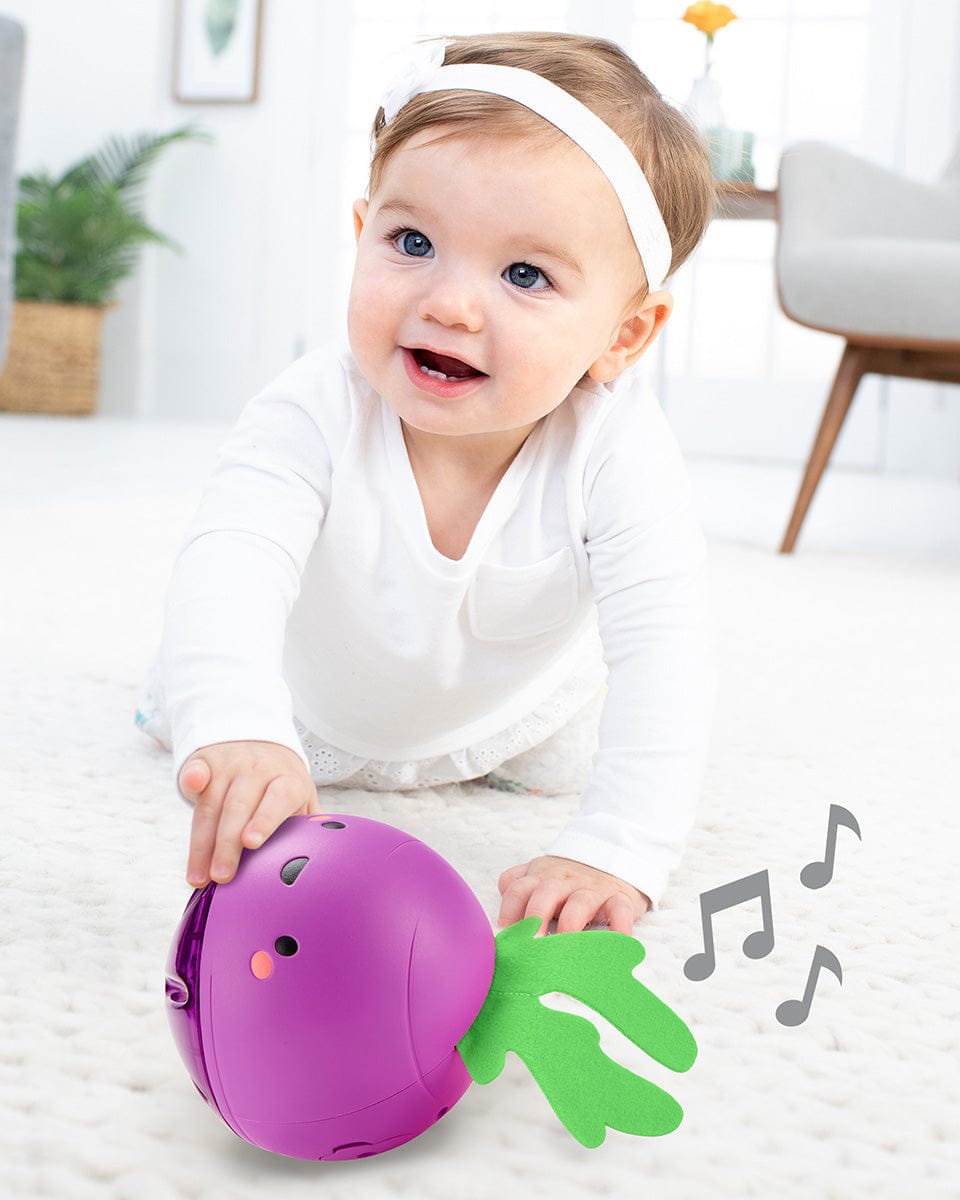 Skip Hop Farmstand Beetbox Crawl Ball - 9J667210
