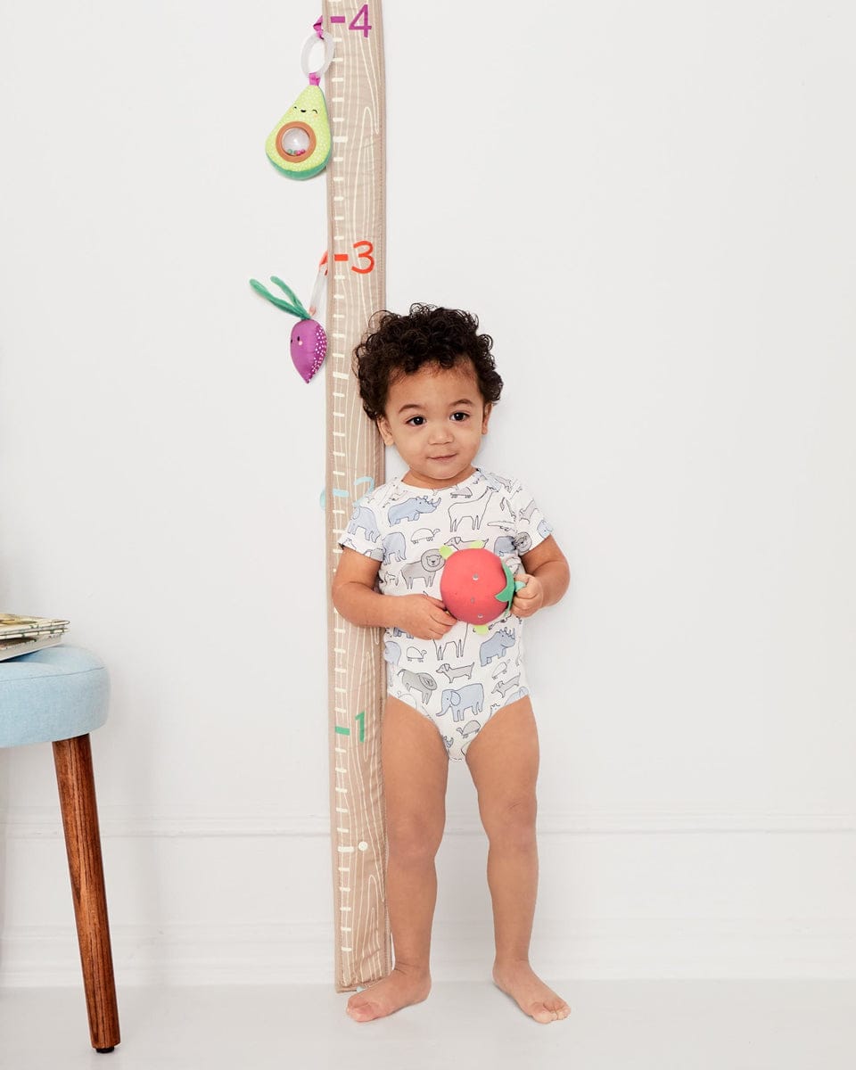 Skip Hop Farmstand Grow & Play Activity Gym - 307075