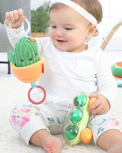 Skip Hop Farmstand Jitter Stroller Toy - Cactus - 9H836010