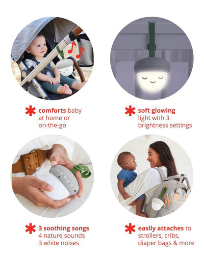 Skip Hop Glow With Me Portable Acorn Sound Machine - 9O214310