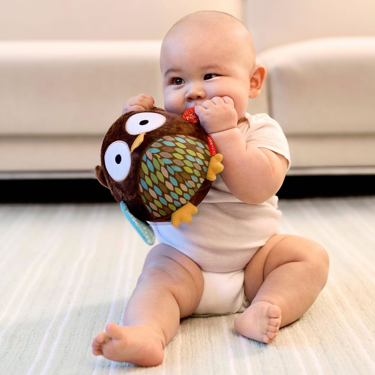 Skip Hop Hug & Hide Chime Ball - Owl - 307571