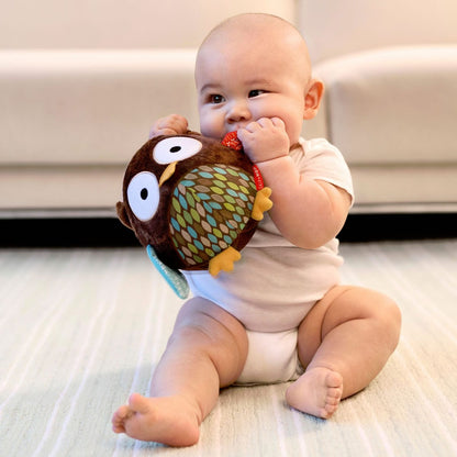 Skip Hop Hug & Hide Chime Ball - Owl - 307571