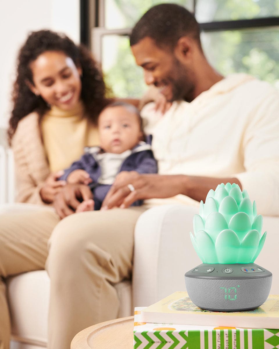 Skip Hop Terra Cry-Activated Soother - 9K092210