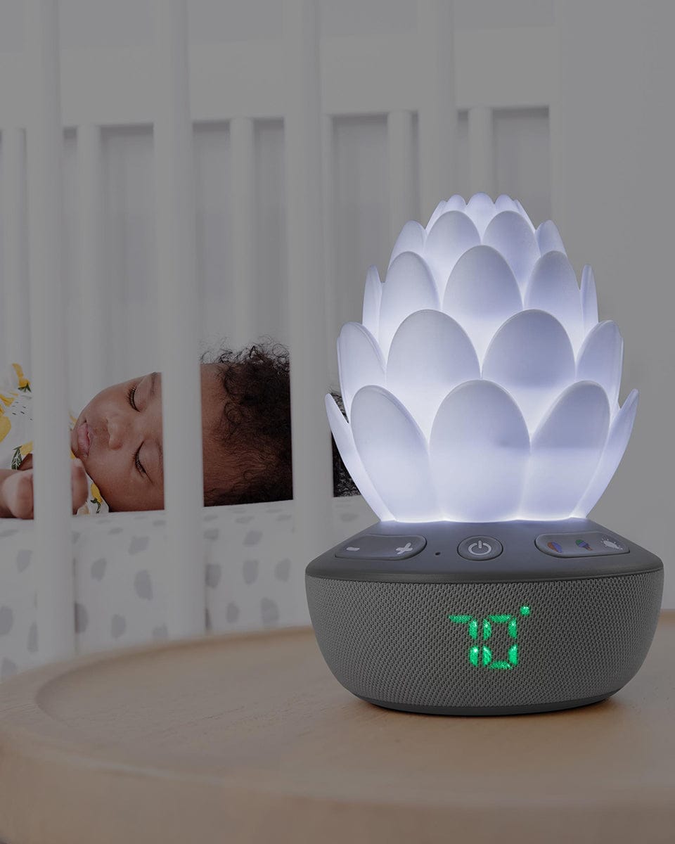 Skip Hop Terra Cry-Activated Soother - 9K092210