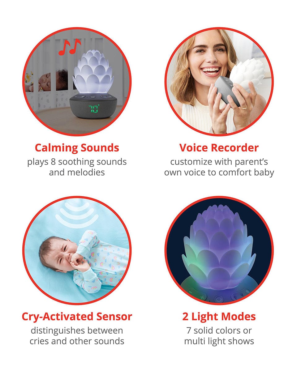 Skip Hop Terra Cry-Activated Soother - 9K092210