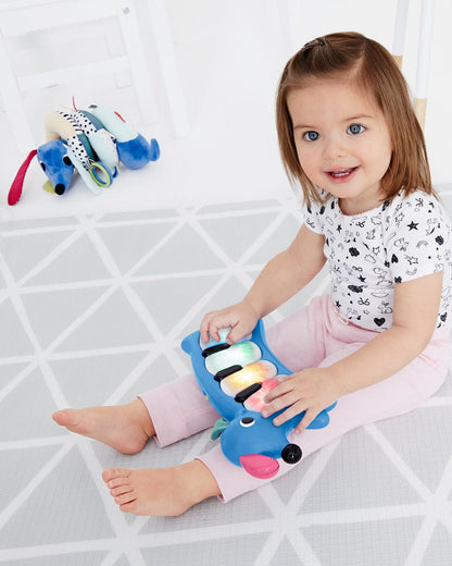 Skip Hop Vibrant Village Light-Up Dog Piano