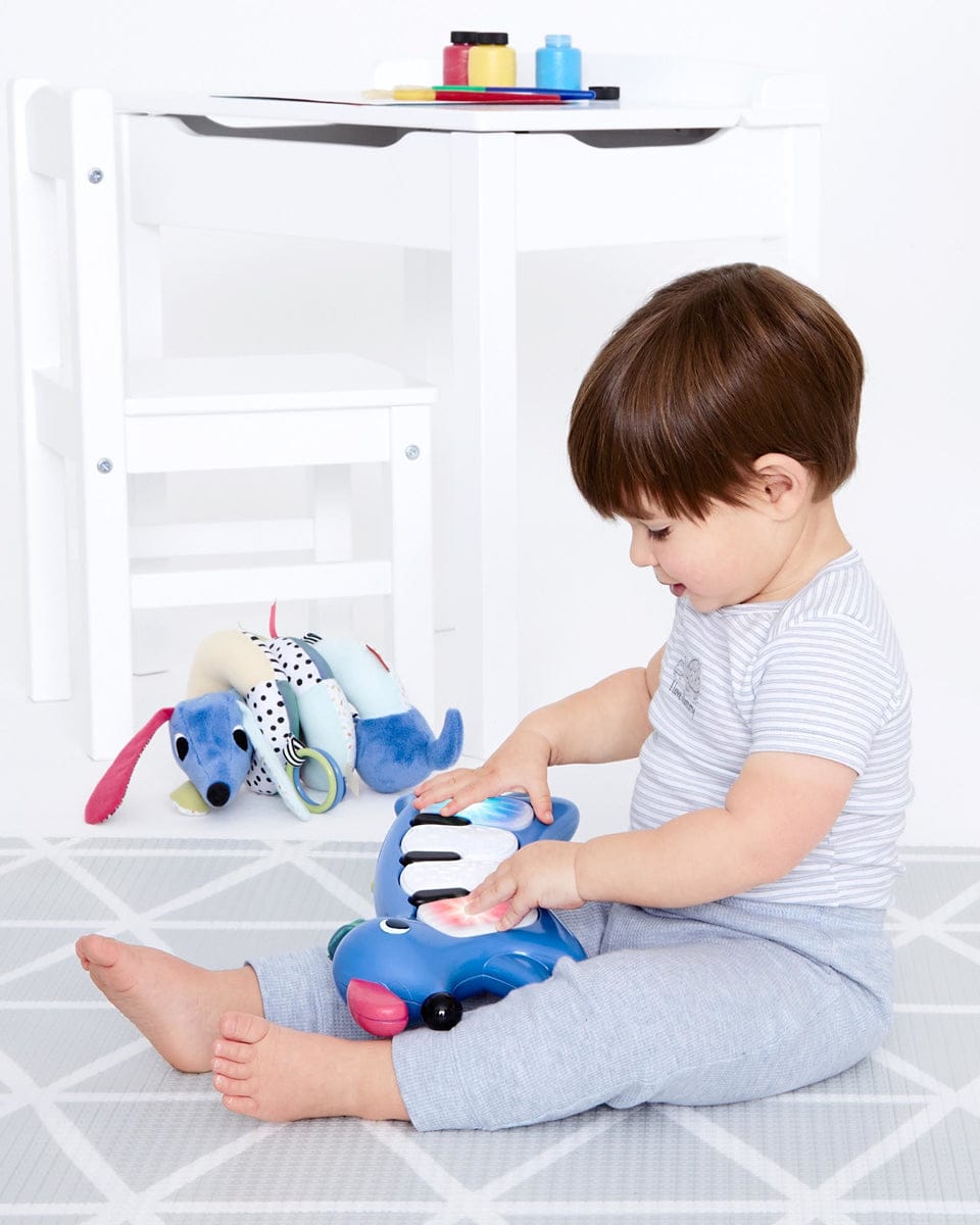 Skip Hop Vibrant Village Light-Up Dog Piano