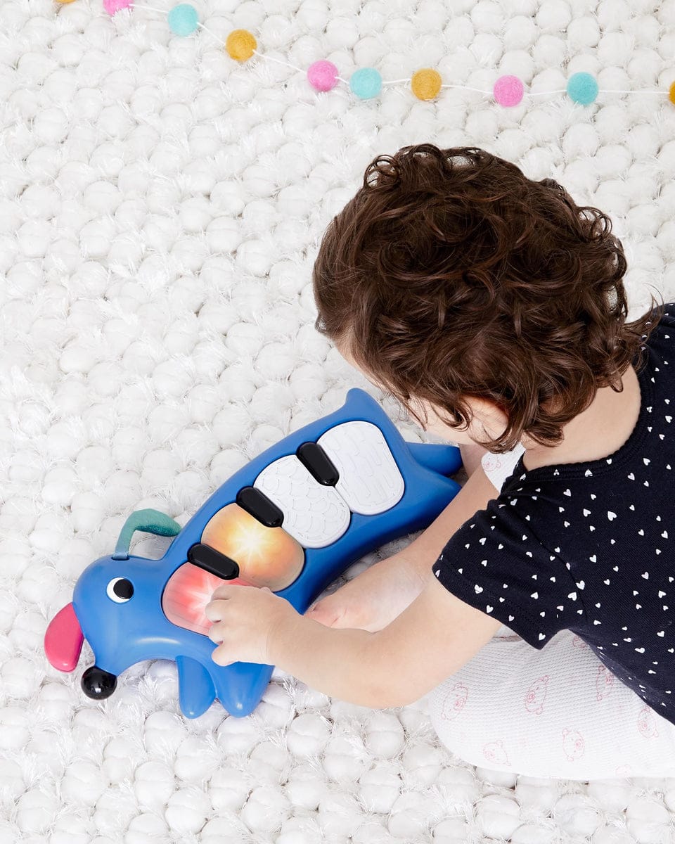 Skip Hop Vibrant Village Light-Up Dog Piano