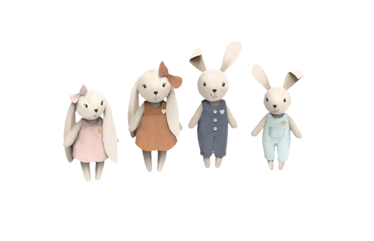 Speedy Monkey Rabbit Family