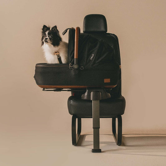 Tavo Pets Maeve Pet Car Seat, Medium Rigid - Onyx - TI0001AAONX000