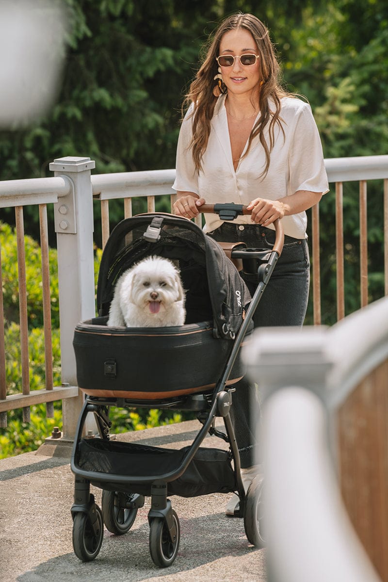 Tavo Pets Maeve + Roscoe 3-IN-1 Pet Protection System, Medium Flex - Brindle - Z2TS002BDLBLK000