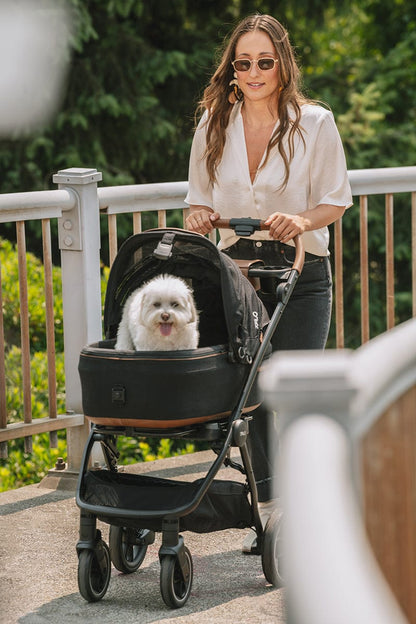 Tavo Pets Maeve + Roscoe 3-IN-1 Pet Protection System, Medium Flex - Brindle - Z2TS002BDLBLK000