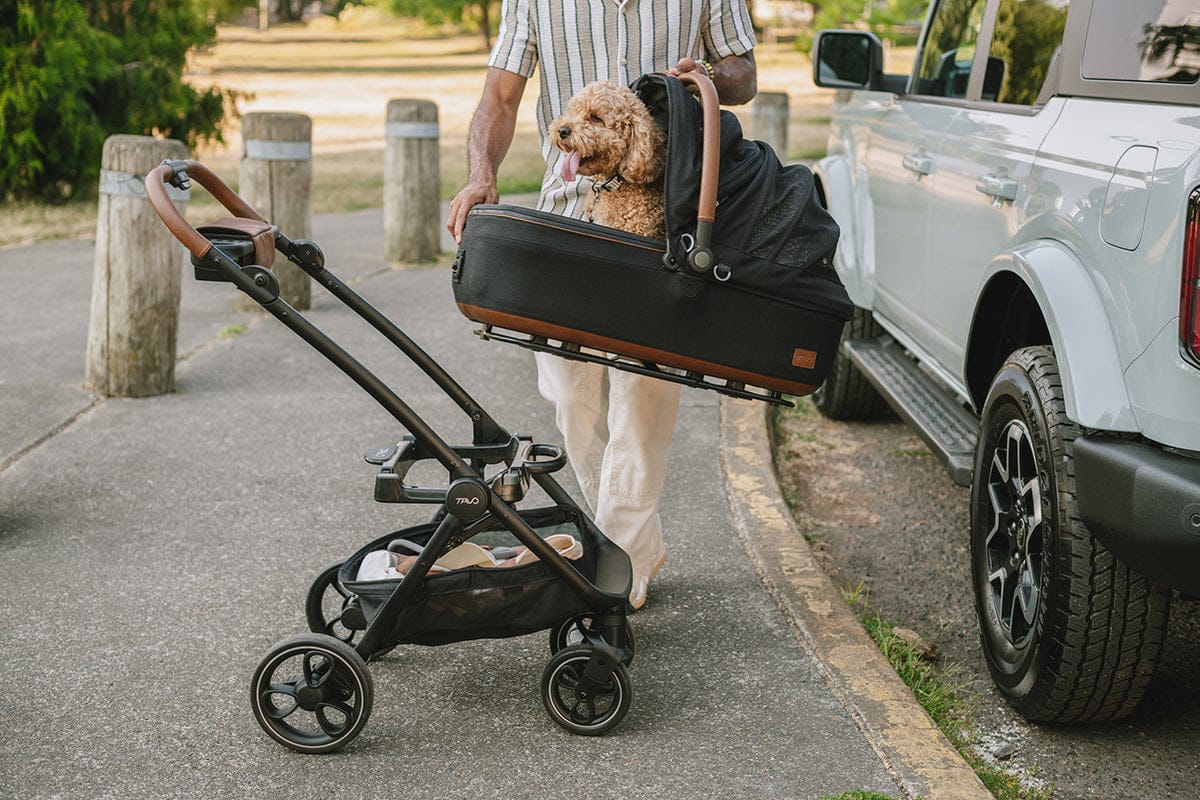 Tavo Pets Maeve + Roscoe 3-IN-1 Pet Protection System, Medium Rigid - Brindle - Z2TS001BDLBLK000