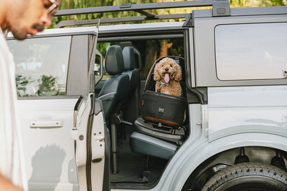 Tavo Pets Maeve + Roscoe 3-IN-1 Pet Protection System, Medium Rigid - Merle - Z2TS001MRLCOG000
