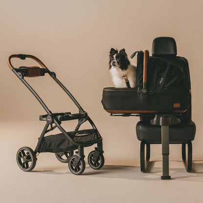 Tavo Pets Maeve + Roscoe 3-IN-1 Pet Protection System, Medium Rigid - Onyx - Z2TS001ONXCOG000