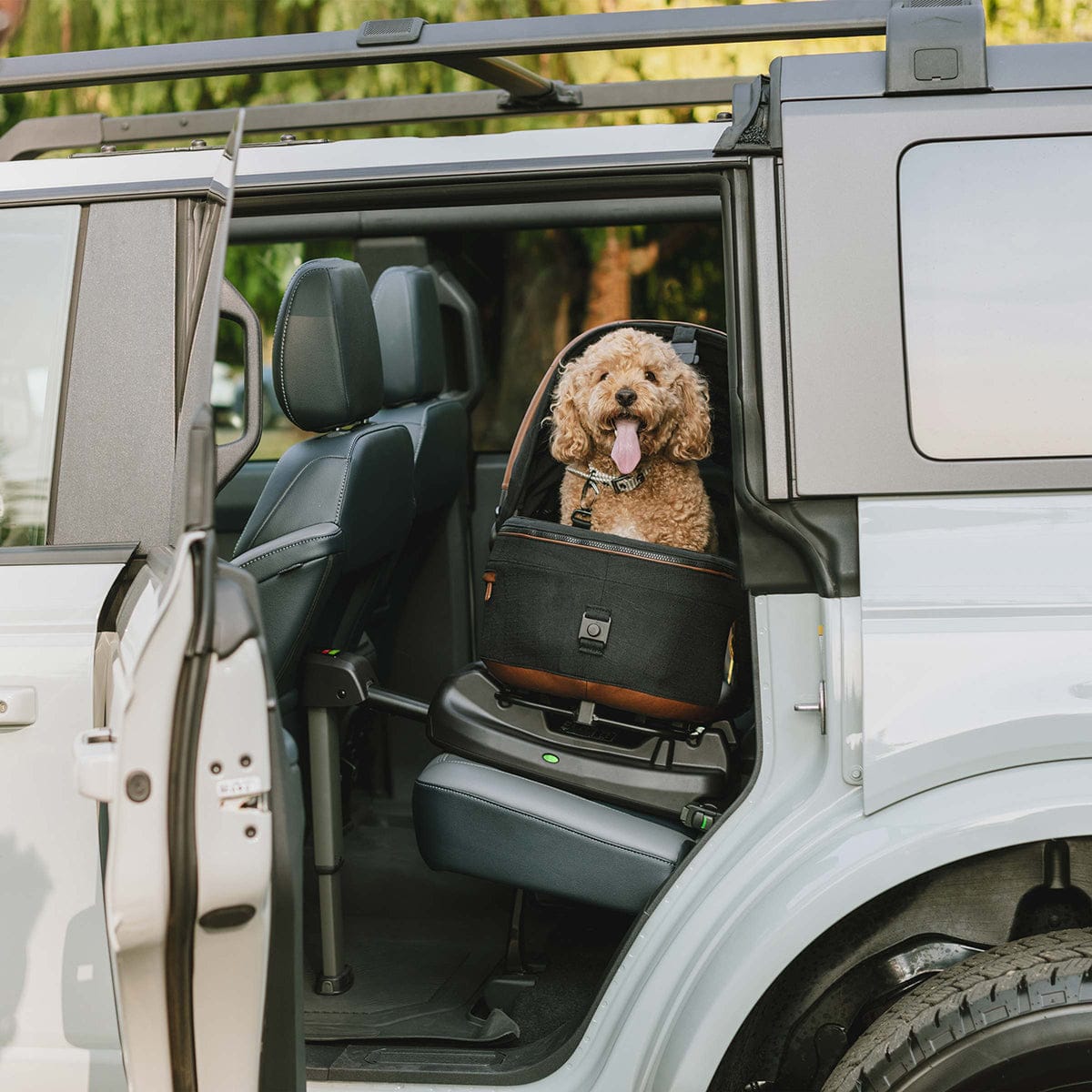 Tavo Pets Vehicle Base for Maeve Pet Protection System - Black - TD0005AABLK000