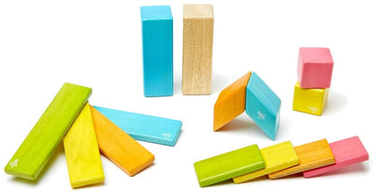 Tegu 14 Piece Magnetic Blocks Set - Tegu Tints - 14P-TNT-306T