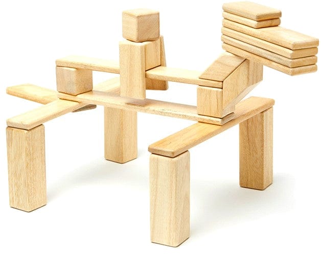 Tegu 24 Piece Magnetic Blocks Set - Natural - 24P-NAT-306T