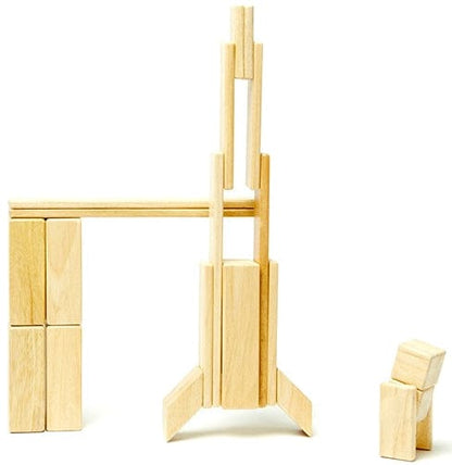Tegu 24 Piece Magnetic Blocks Set - Natural - 24P-NAT-306T