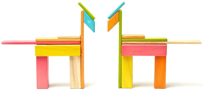 Tegu 24 Piece Magnetic Blocks Set - Tegu Tints - 24P-TNT-306T