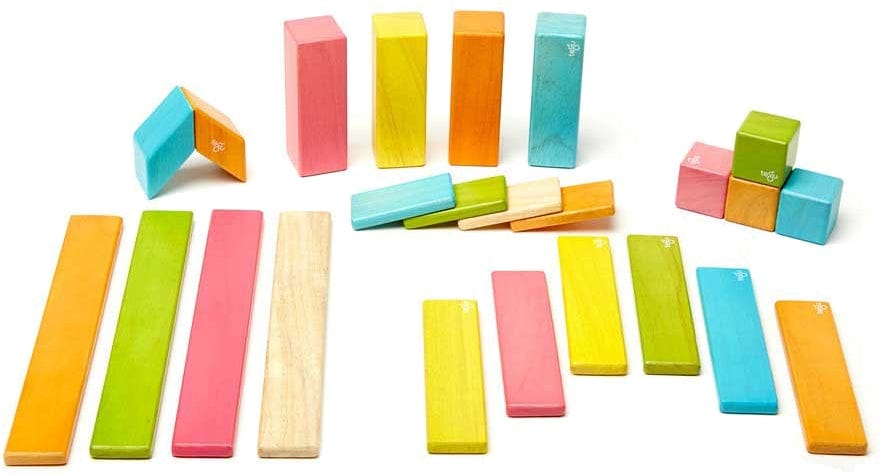 Tegu 24 Piece Magnetic Blocks Set - Tegu Tints - 24P-TNT-306T