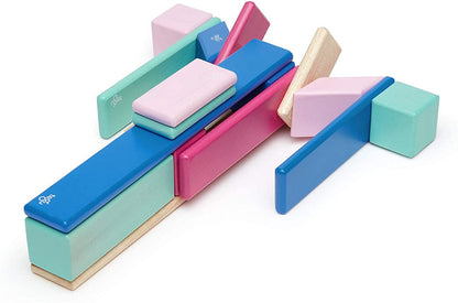 Tegu 24 Piece Magnetic Wooden Block Set - Blossom - 24P-BSM-607T