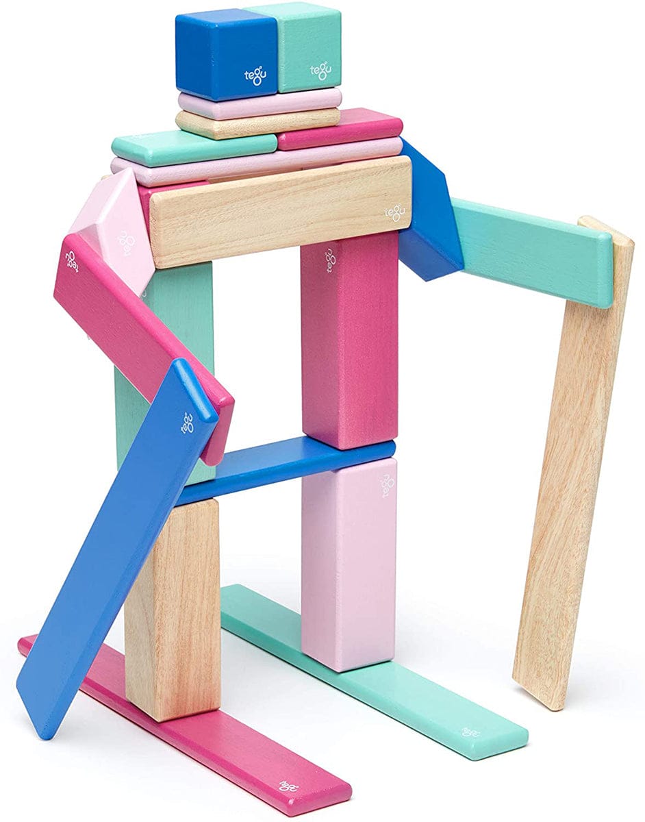 Tegu 24 Piece Magnetic Wooden Block Set - Blossom - 24P-BSM-607T