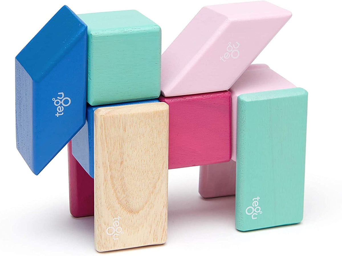 Tegu 24 Piece Magnetic Wooden Block Set - Blossom - 24P-BSM-607T