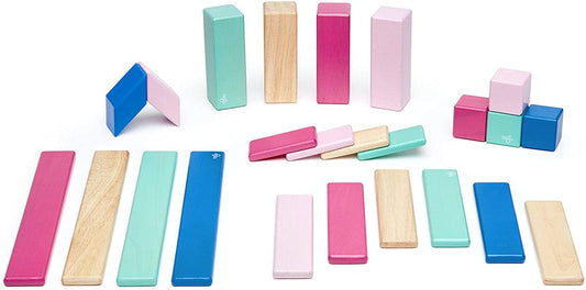 Tegu 24 Piece Magnetic Wooden Block Set - Blossom - 24P-BSM-607T