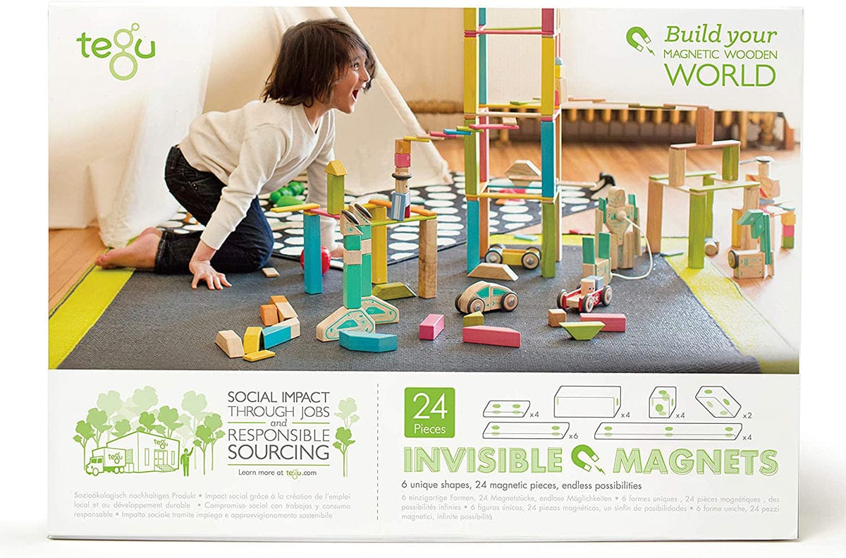 Tegu 24 Piece Magnetic Wooden Block Set - Blues - 24P-BLU-508T