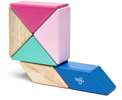 Tegu Pocket Pouch Prism 6 Piece Magnetic Blocks - Blossom - PPP-BSM-607T