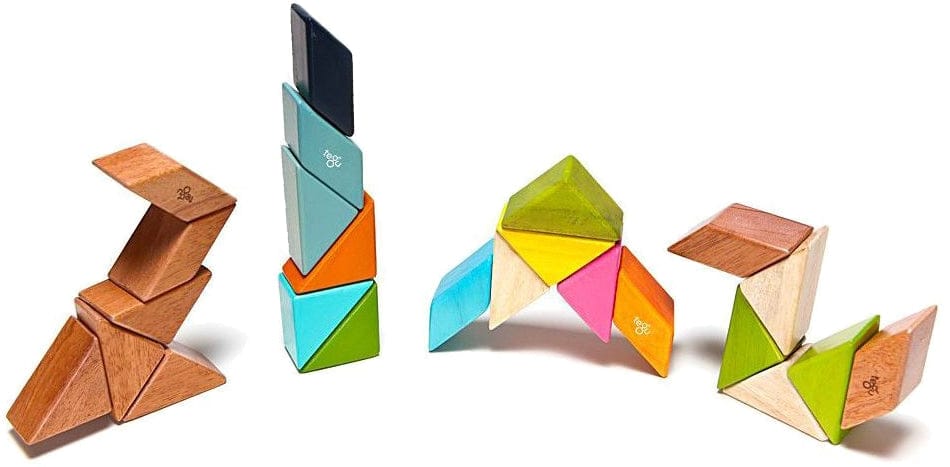 Tegu Pocket Pouch Prism 6 Piece Magnetic Blocks - Nelson - P-11-048-SJG