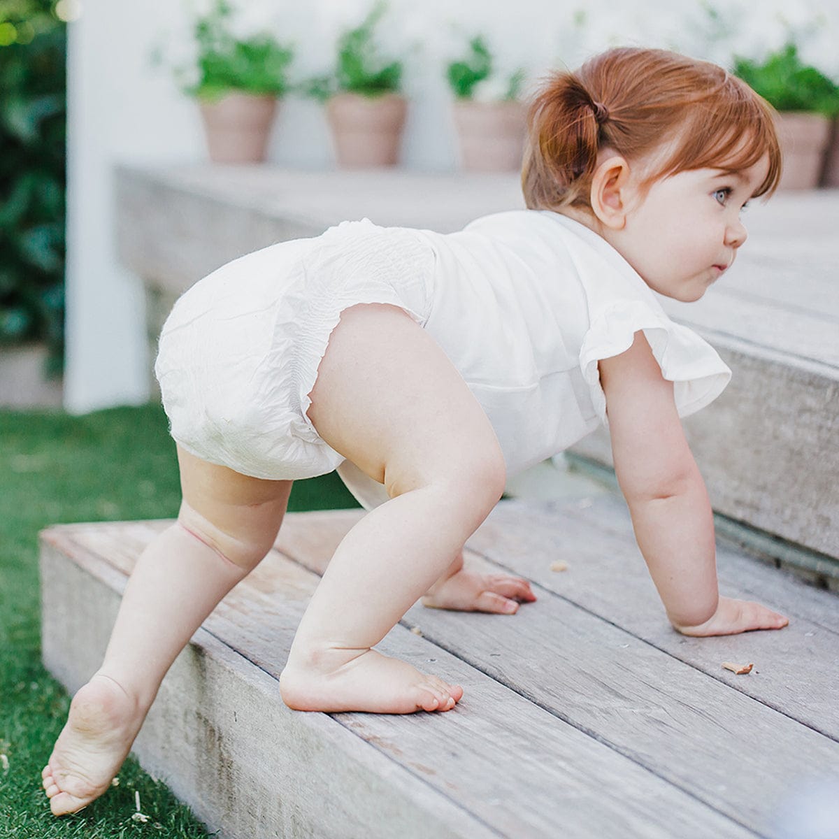 TERRA Plant-Based Diapers - Size 3/Crawler (20 Pack) - 20-13000
