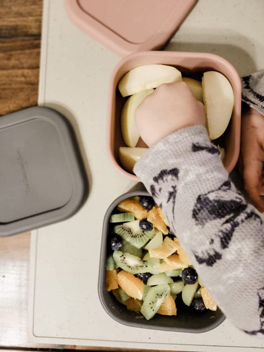 The Dearest Grey Mini Bento Box - Rosewood - 850037245703