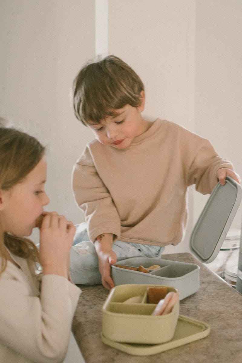 The Dearest Grey Silicone Bento Box - Cloud - 850037245031
