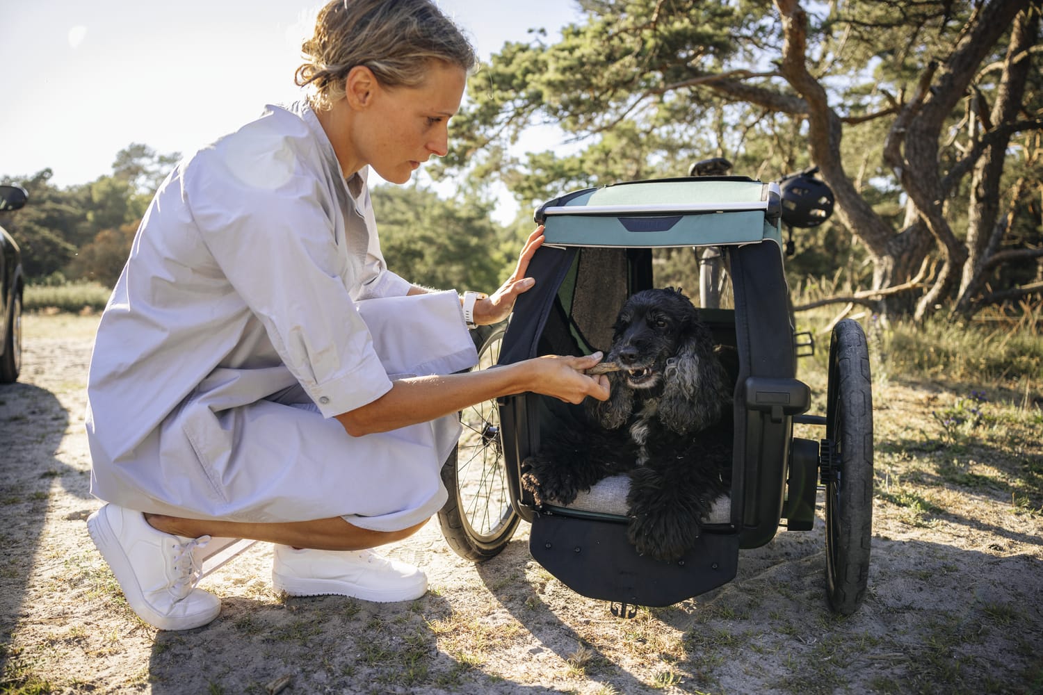 Thule Bexey Dog Bed - Large - 800007