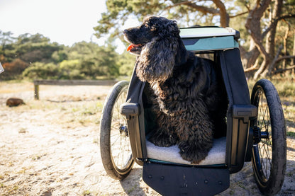 Thule Bexey Dog Bed - Large - 800007