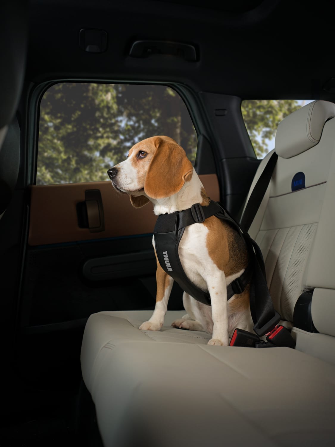 Thule Cappy Dog Harness Black - S - 771001