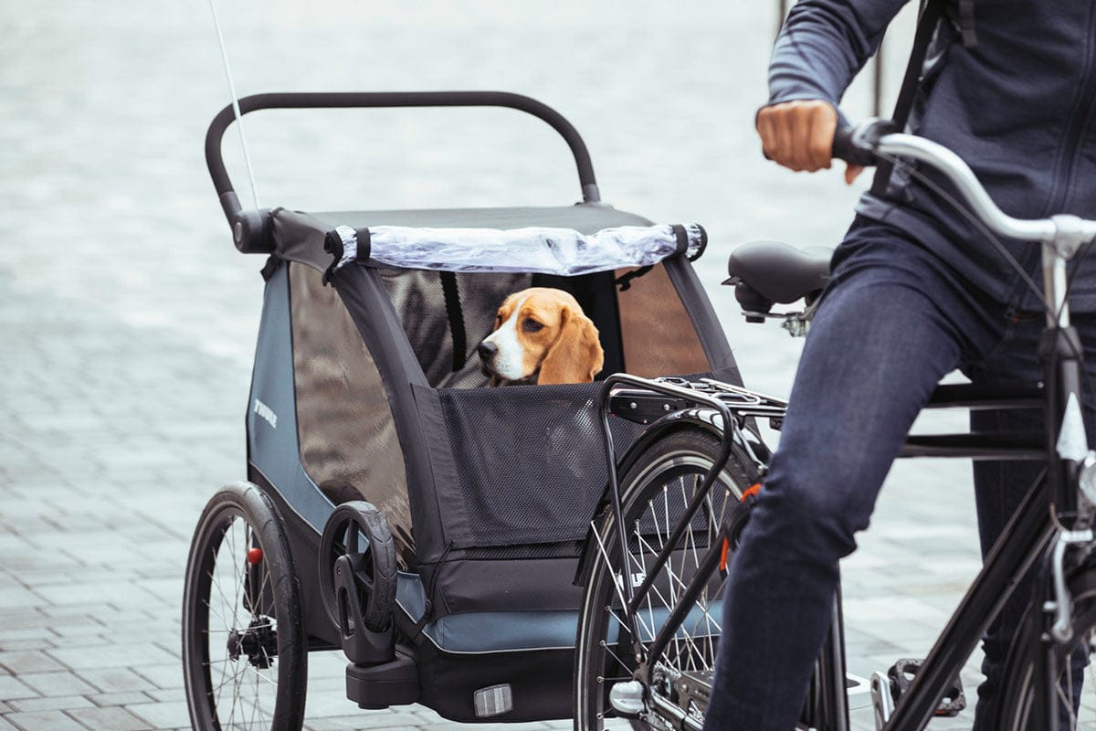 Thule Courier Pet Kit - Aegean Blue - 20301001