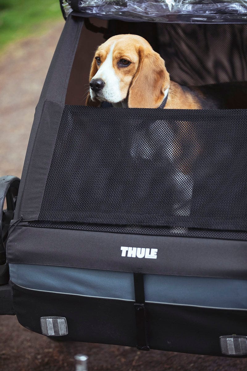Thule Courier Pet Kit - Aegean Blue - 20301001