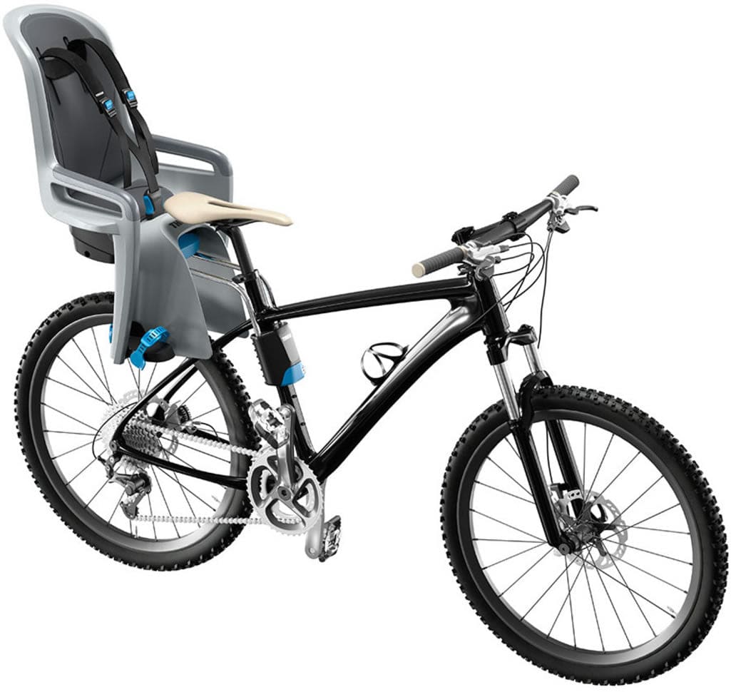 Thule RideAlong Child Bike Seat - Zinnia