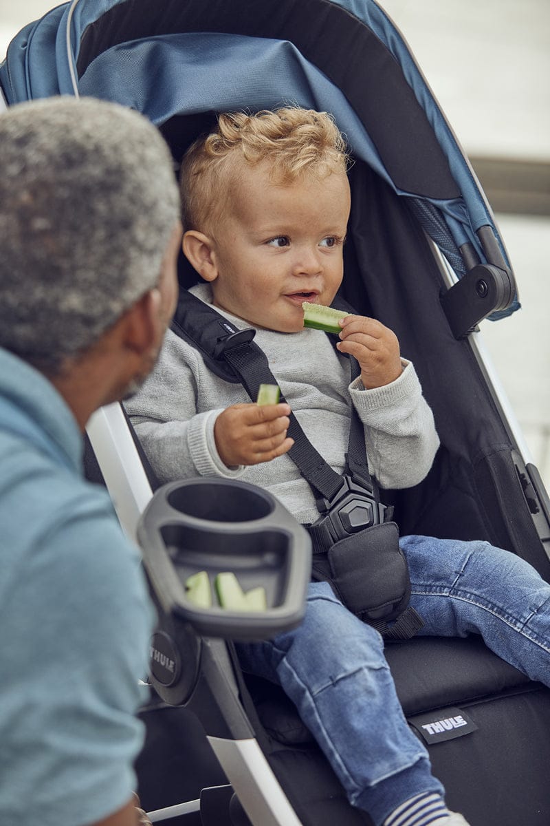 Thule Spring Snack Tray - 11300405
