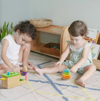 Tiny Land® Montessori Toys Set for Infants (10-12 month) - TLTGMT005
