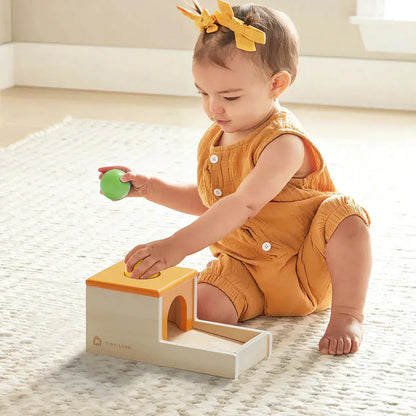 Tiny Land® Montessori Toys Set for Infants (10-12 month) - TLTGMT005