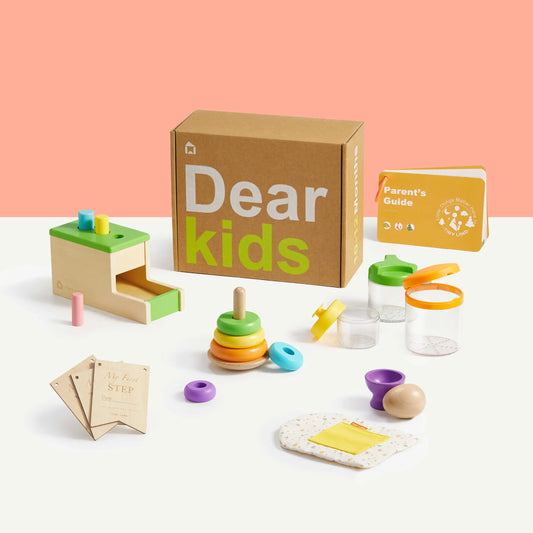 Tiny Land® Montessori Toys Set for Infants (10-12 month) - TLTGMT005