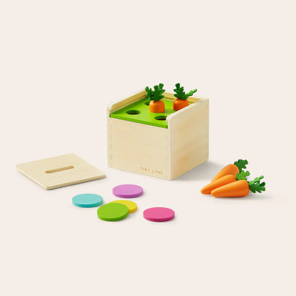 Tiny Land® Montessori Toys Set for Toddlers (13-15 month) - TLTGMT006RC