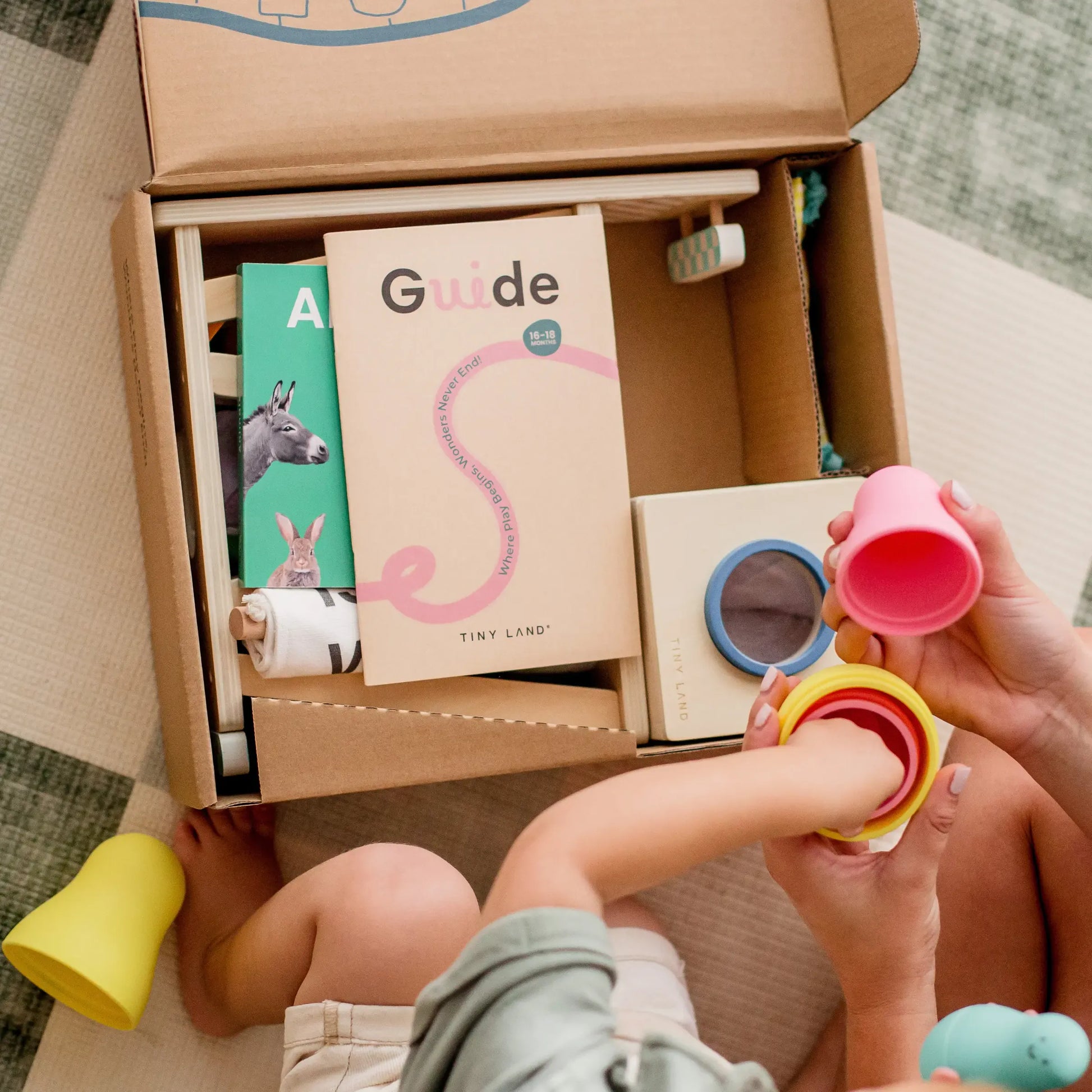 Tiny Land® Montessori Toys Set for Toddlers (16-18 month) - TLTGMT007RC