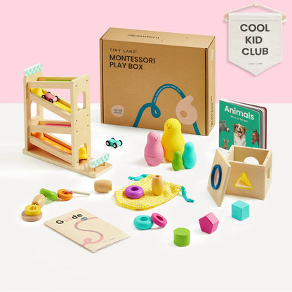 Tiny Land® Montessori Toys Set for Toddlers (16-18 month) - TLTGMT007RC