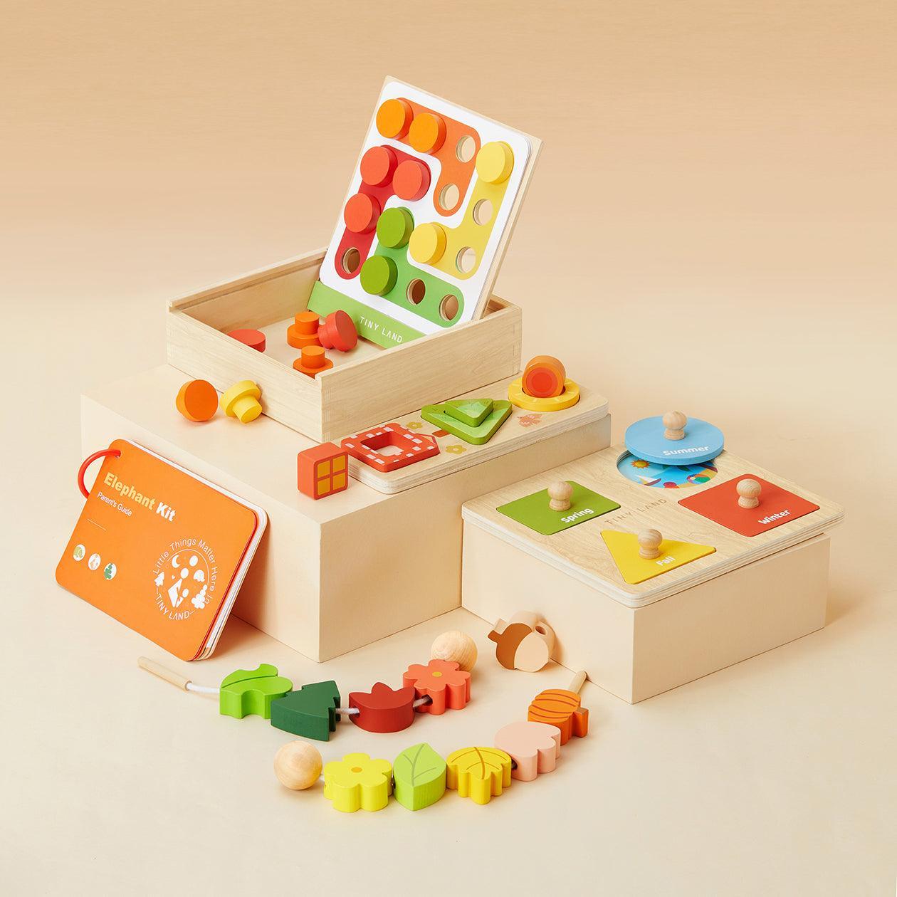 Tiny Land® Montessori Toys Set for Toddlers (18-24month) - TLTGMT003
