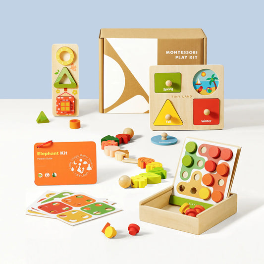Tiny Land® Montessori Toys Set for Toddlers (18-24month) - TLTGMT003